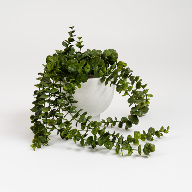 40cm Artificial Trailing Eucalyptus in Rustic Footed Pot